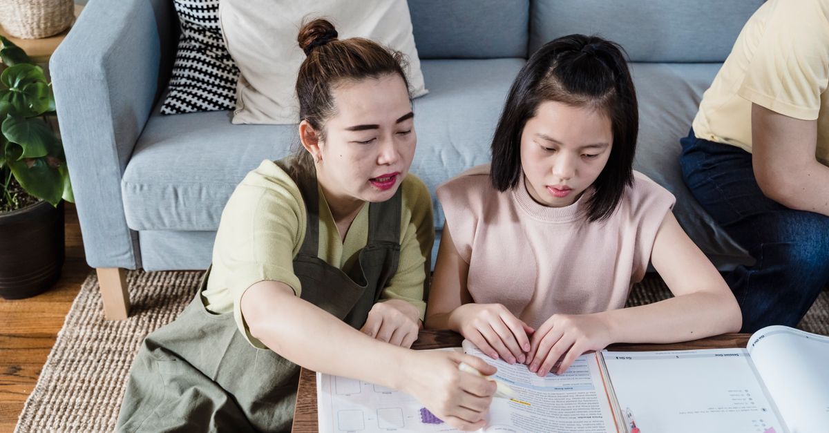 The Influence of Tutoring on Long-Term Educational Success